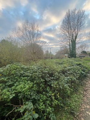 Photo 3- click for photo gallery